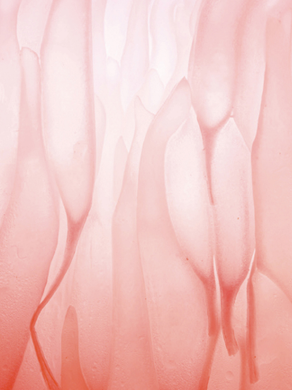D06